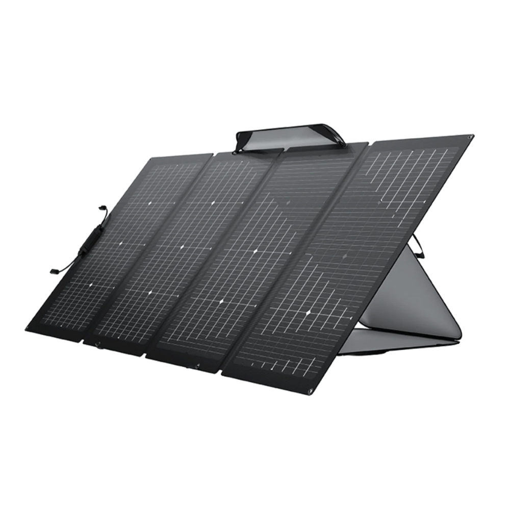 Delta 3 Max Plus + Painel 220W Ecolfow