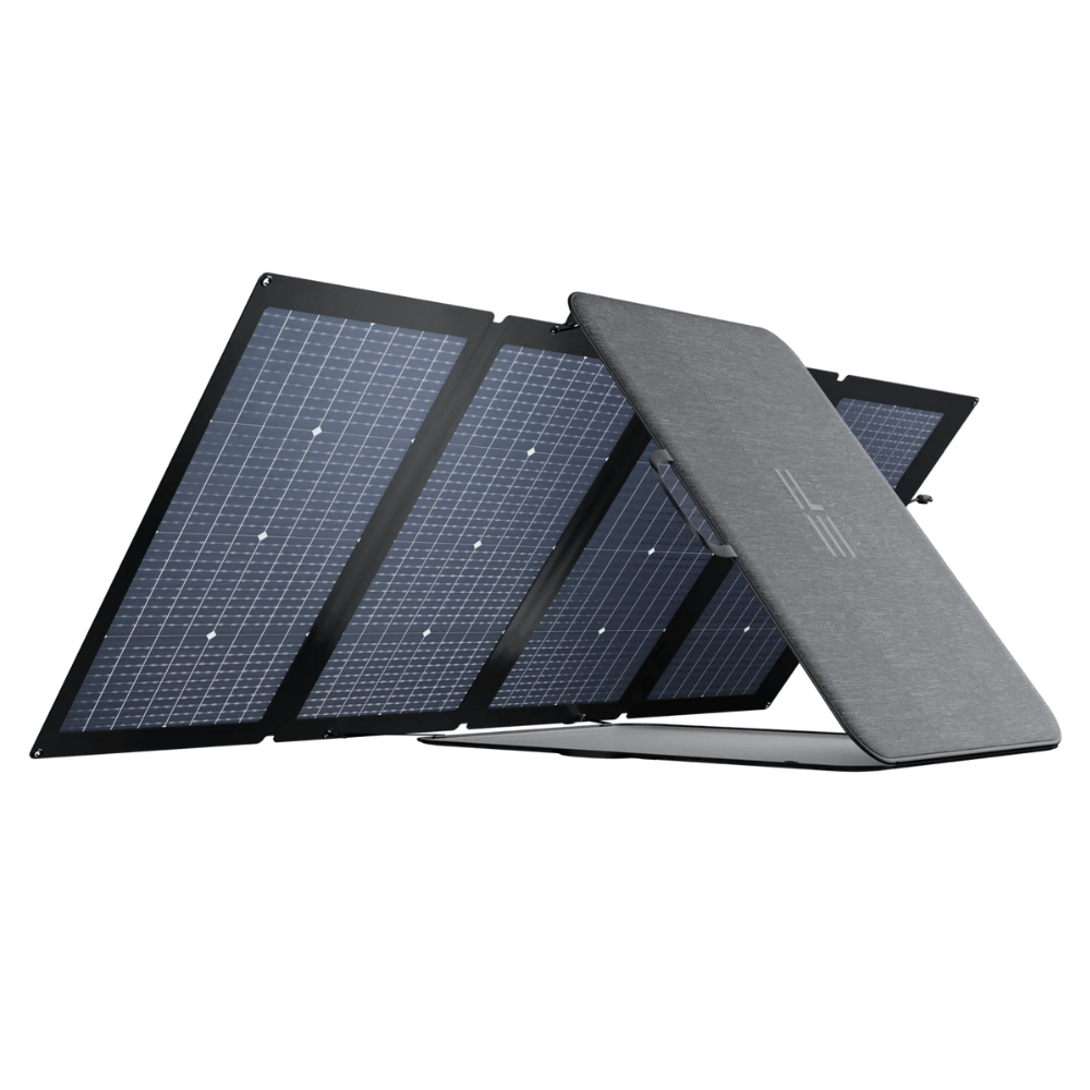 Delta 3 Max Plus + Painel 220W Ecolfow