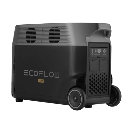Delta pro Ecoflow + Bateria Extra